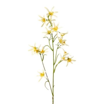 Ramo decorativo Tweedia solanoides ZORHIL, giallo metallizzato, 75 cm