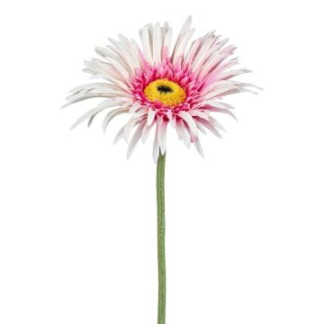 Fiore decorativo gerbera FELISY, rosa-bianco, 65 cm