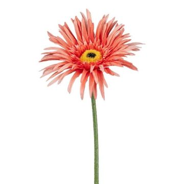 Fiore decorativo Gerbera FELISY, salmone, 65 cm Fiore decorativo Gerbera FELISY, salmone, 65 cm