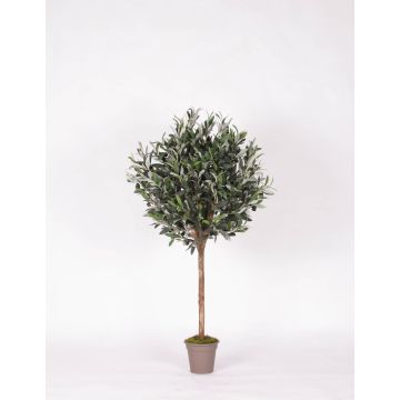 Olivo artificiale MILINO, tronco naturale, con frutti, 125 cm - Made in Italy