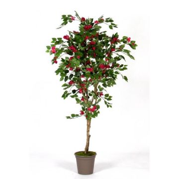 Bougainvillea artificiale ISMUNDE, tronco vero, fiori, rosa, 150 cm - Made in Italy