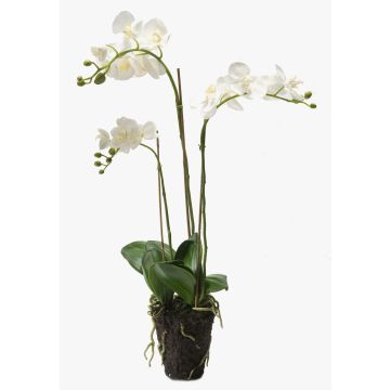 Orchidea finta PABLA con terriccio, bianco, 70cm, Ø8-10cm