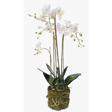 Orchidea finta PABLA con terriccio, bianco, 80cm, Ø8-11cm