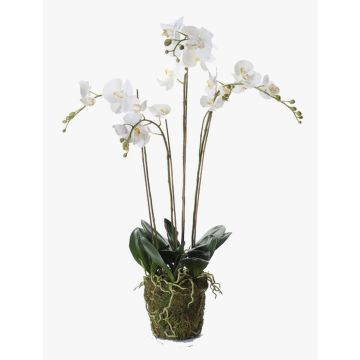 Orchidea finta PABLA con terriccio, bianco, 90cm, Ø10-13cm