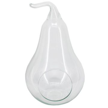 Terrario per piante YVIE a forma di pera, vetro, trasparente, 31 cm, Ø 19 cm