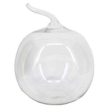 Terrario per piante YVIE a forma di mela, vetro, trasparente, 24 cm, Ø 19 cm