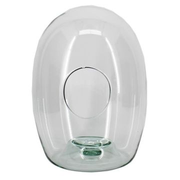 Terrario per piante LYNASH, vetro, trasparente, 30 cm, Ø 23 cm