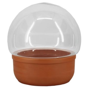 Terrario per piante in vetro LUMIAN, vaschetta in terracotta, trasparente, 23,5 cm, Ø 25 cm