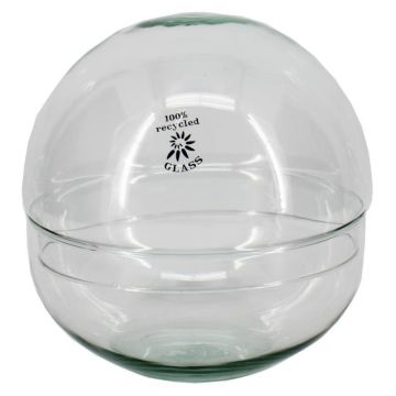 Terrario in vetro per piante grasse BRYSON, a forma di sfera, riciclato, trasparente, 19,5 cm, Ø 19,6 cm
