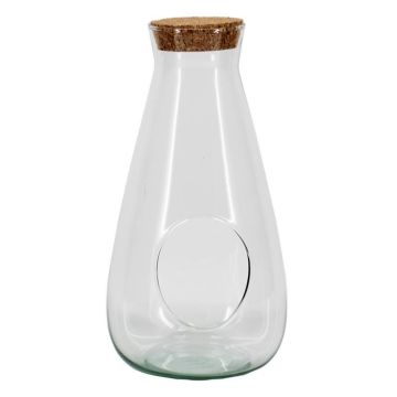 Terrario in vetro ALVYS con tappo in sughero, riciclato, trasparente, 27 cm, Ø 14 cm
