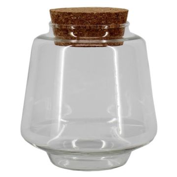 Terrario per piante KRYPTE, vetro, coperchio in sughero, trasparente, 13 cm, Ø 13 cm