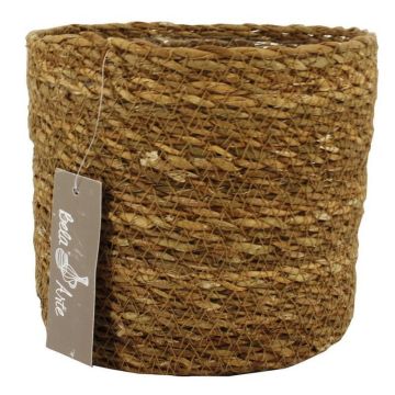 Cesto per fiori AMPARO, alghe marine, beige, 14 cm, Ø 16,5 cm Cesto per fiori AMPARO, alghe marine, beige, 14 cm, Ø 16,5 cm