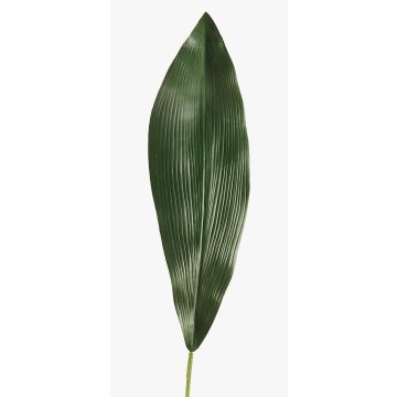 Foglia di aspidistra sintetica PAISA, 75cm