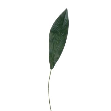 Foglia di aspidistra sintetica PAISA, 75cm