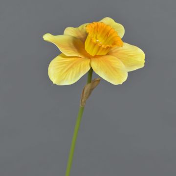 Fiore decorativo narciso FEIHAO, arancione-giallo, 40 cm