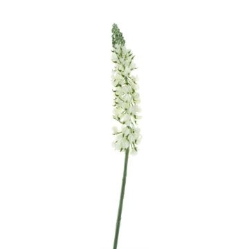 Fiore artificiale lupino UKAPI, bianco, 105 cm