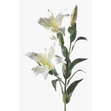 Giglio artificiale KIRSTEN, bianco, 85cm, Ø15cm