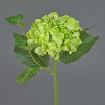 Fiore artificiale ortensia VOSTE, verde, 45 cm