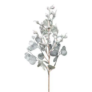 Ramo artificiale eucalipto GRIFLO con frutti, congelato, bianco-grigio, 55 cm Ramo artificiale eucalipto GRIFLO con frutti, congelato, bianco-grigio, 55 cm