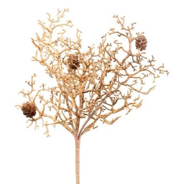 Ramo decorativo corallo AGAMS con pigne, marrone, 30 cm