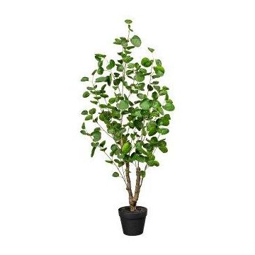 Pianta artificiale Aralia MULVI, vaso decorativo, tronco artificiale, 110 cm
