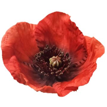 Papavero artificiale FASDIN, rosso, 75 cm Papavero artificiale FASDIN, rosso, 75 cm