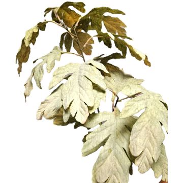 Ramo decorativo acero TUNDAKY, verde, 100 cm