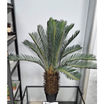Palma artificiale Cycas WERFLI in vaso decorativo, 110 cm