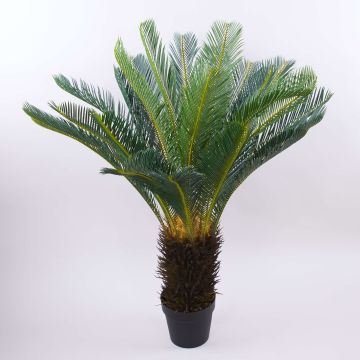 Palma artificiale Cycas WERFLI in vaso decorativo, 110cm