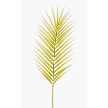 Fronda artificiale di palma areca BOHAI, 100cm
