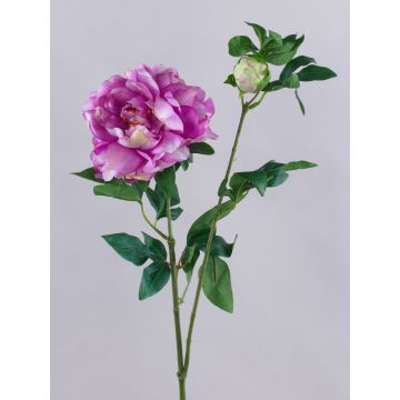 Ramo artificiale Peonia ZEXLIN, viola-rosa, 70 cm Ramo artificiale Peonia ZEXLIN, viola-rosa, 70 cm