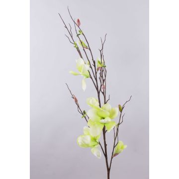 Ramo artificiale di magnolia GLIVOR, crema-verde, 115cm Ramo artificiale di magnolia GLIVOR, crema-verde, 115cm