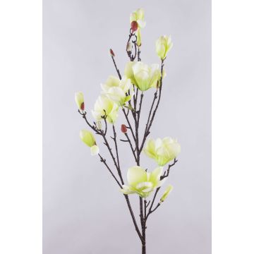 Ramo di magnolia in tessuto YONA, crema-verde, 130cm, Ø5-15cm