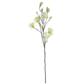 Ramo di magnolia in tessuto YONA, verde crema, 130 cm, Ø 5-15 cm