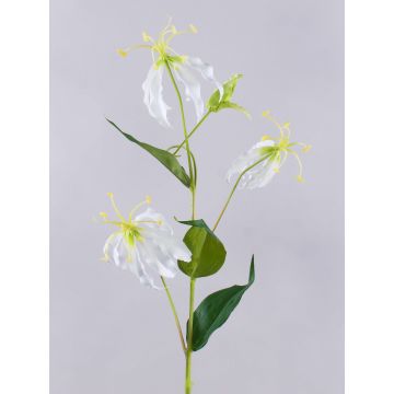 Fiore artificiale Gloriosa MAFIRNA, bianco-verde, 80 cm Fiore artificiale Gloriosa MAFIRNA, bianco-verde, 80 cm