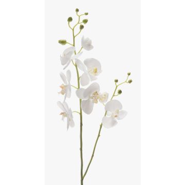 Ramo di orchidea artificiale LAHNA, bianco, 95cm, Ø5-10cm