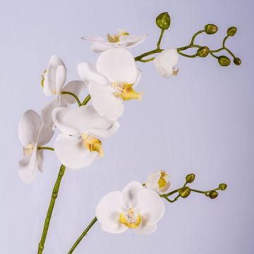 Ramo di orchidea artificiale LAHNA, bianco, 95cm, Ø5-10cm