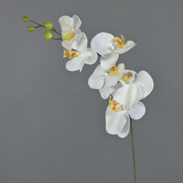Ramo decorativo di orchidea Phalaenopsis LANUA, crema, 75 cm