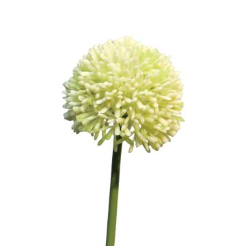 Allium artificiale BAILIN, verde crema, 40 cm