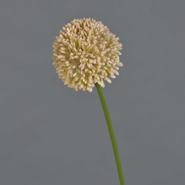 Allium artificiale BAILIN, rosa-crema, 40 cm