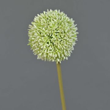 Allium artificiale BAILIN, verde crema, 65 cm