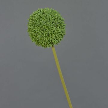 Allium artificiale BAILIN, verde, 65 cm