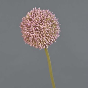 Allium artificiale BAILIN, rosa-crema, 65 cm