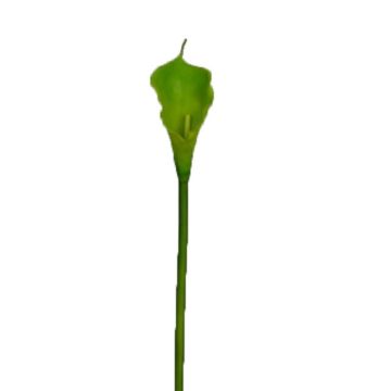 Calla artificiale DOU, verde, 70 cm