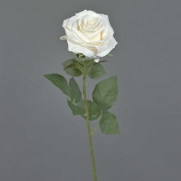 Rosa artificiale KAILIN, crema, 65 cm