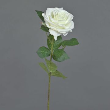 Rosa artificiale KAILIN, bianca, 65 cm