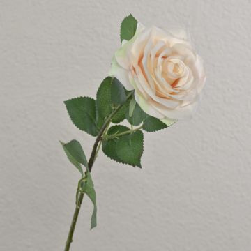 Rosa artificiale KAILIN, rosa crema, 65 cm