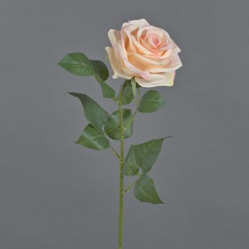 Rosa artificiale KAILIN, rosa-crema, 65 cm