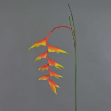 Heliconia decorativa MEIHUA, arancione, 95cm