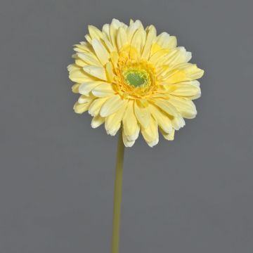 Gerbera artificiale QIUDONG, giallo, 50 cm
